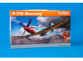 Scale model 1/48 Airplane P-51D Mustang Eduard 82102