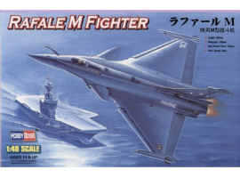 Buildable model of the Rafale M Fighter