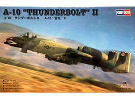 обзорное фото Збірна модель американського штурмовика A-10A "THUNDERBOLT" ІІ Літаки 1/48