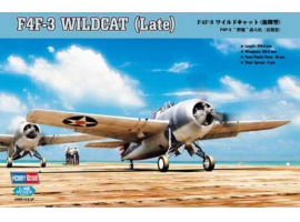 Buildable model of the American fighter F4F-3 Wildcat Late Version