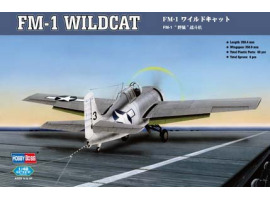 Buildable model FM-1 Wildcat American fighter jet