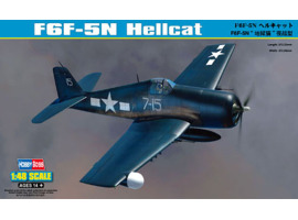 Buildable model of the American F6F-5N Hellcat fighter