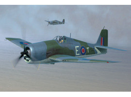 обзорное фото >
  Збірна модель
  винищувача British Fleet Air
  Hellcat Mk.II. Літаки 1/48