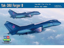 Buildable model aircraft Yak-38U Forger B