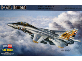 обзорное фото Збірна модель винищувача F-14 Tomcat Літаки 1/48