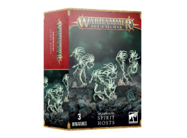 обзорное фото Ігровий набір Warhammer AGE OF SIGMAR - NIGHTHAUNT: SPIRIT HOSTS Нічні Привиди