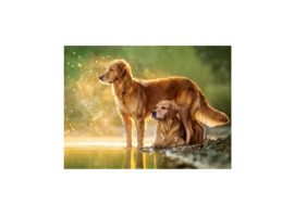 обзорное фото Пазл  "Собаки у озера" 180 шт 180 элементов