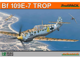 обзорное фото Bf 109E-7 Trop Самолеты 1/32