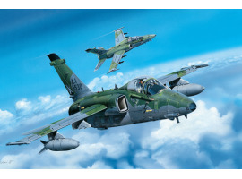 обзорное фото Buildable model A-1A Ground Attack Aircraft Aircraft 1/48