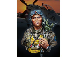 обзорное фото Погруддя. Пілот - винищувача ВПС США, 1944 р. Фігури 1/10