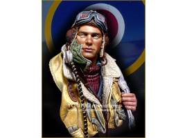 обзорное фото BATTLE OF BRITAIN RAF Pilot WWII Figures 1/10