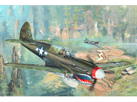 обзорное фото Збірна модель 1/32 Літак P-40N War Hawk Trumpeter 02212 Літаки 1/32