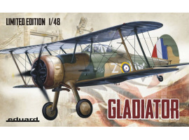 обзорное фото Gladiator Aircraft 1/48