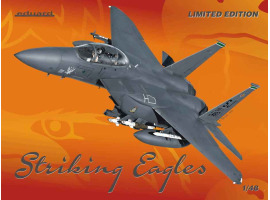 обзорное фото Striking Eagles Aircraft 1/48