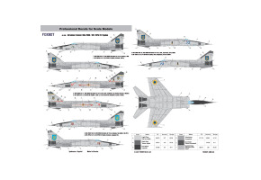Foxbot 1:48 Decal Ukrainian Foxbats: MiG-25RB Ukrainian Air Force