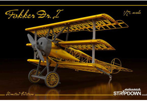 Fokker Dr.I STRIPDOWN