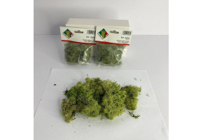 Material for detailing "Light green moss"