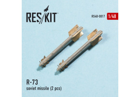 R-73 soviet missile (2 pcs) (1/48)