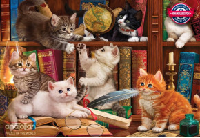 Puzzle Kittens in the Library - Kittens in the library 500pcs