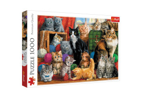 Пазли Зустріч кошенят 1000шт