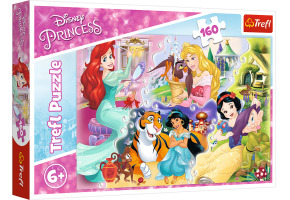 Puzzle Princesses and Friends 160pcs
