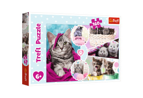 Puzzle Cute kittens 160pcs