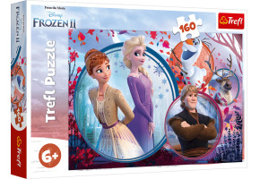 Puzzle Adventure sisters: Frozen 160pcs