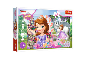 Пазли У царстві пригод 100шт