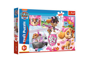 Пазли Скай у дії: Щенячий патруль 100шт