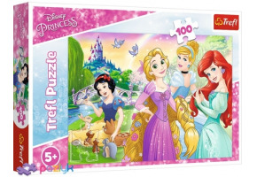 Пазли Пригоди починаються 100шт