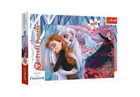 Пазли Назавжди разом 100шт