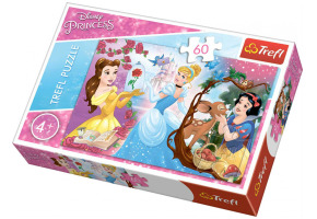 Пазли Запрошення на бал 60шт