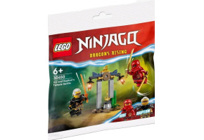 Конструктор LEGO Ninjago Битва Кая та Раптора в храмі 30650