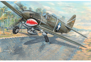 Збірна модель військового літака P-40F War Hawk