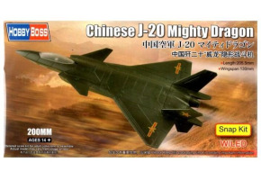 Сборная модель китайского самолета J-20 Mighty Dragon
