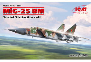 Buildable model of the Soviet attack aircraft MiG-25 BM