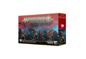 Ігровий набір Warhammer AGE OF SIGMAR - SOULBLIGHT GRAVELORDS: BLOOD KNIGHTS