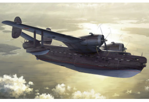 Збірна модель радянського літака Берієв Бе-6 "Мадж"