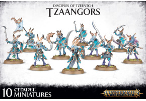 DISCIPLES OF TZEENTCH: TZAANGORS