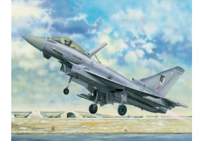 Scale model 1/35 Double-engine aircraft EF-2000 Eurofighter Typhoon Trumpeter 02278