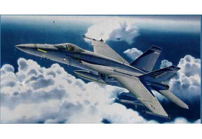 Винищувач F/A-18E Super Hornet