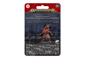 BLADES OF KHORNE: BLOODMASTER HERALD OF KHORNE