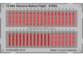 Remove Before Flight STEEL 1/72