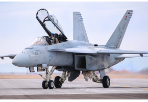 Збірна модель винищувача F/A-18F Super Hornet