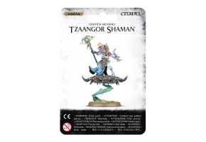 TZEENTCH ARCANITES TZAANGOR SHAMAN