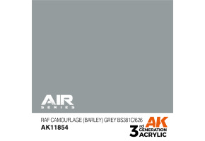 Acrylic paint RAF Camouflage (Barley) Gray BS381C/626  AIR AK-interactive AK11854