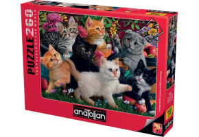 Puzzle Kittens at Play 260pcs