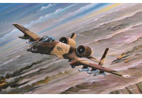 Збірна модель винищувача A-10 Thunderbolt II