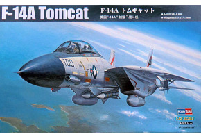 Збірна модель американського винищувача F-14 Tomcat