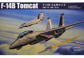 Збірна модель американського винищувача F-14B Tomcat